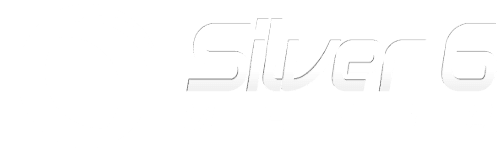 Silver-6-Media-white-logo